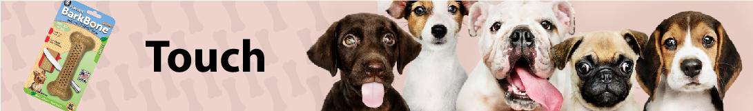 dog banner image